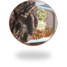 Papa, Beef & Wors